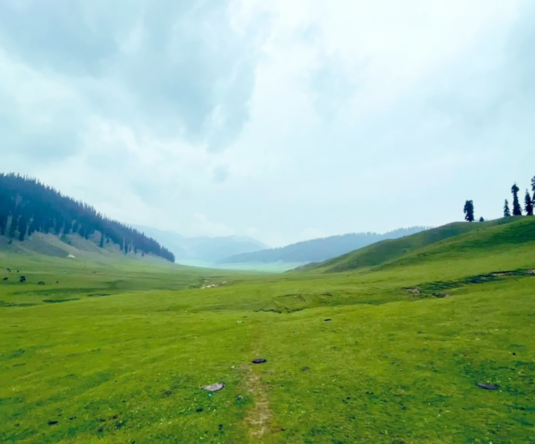 Kashmir Tour Packages