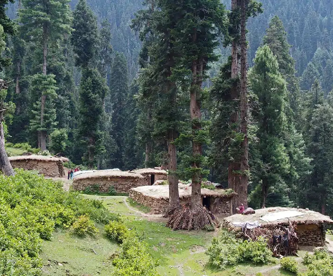 Kashmir Tour Packages