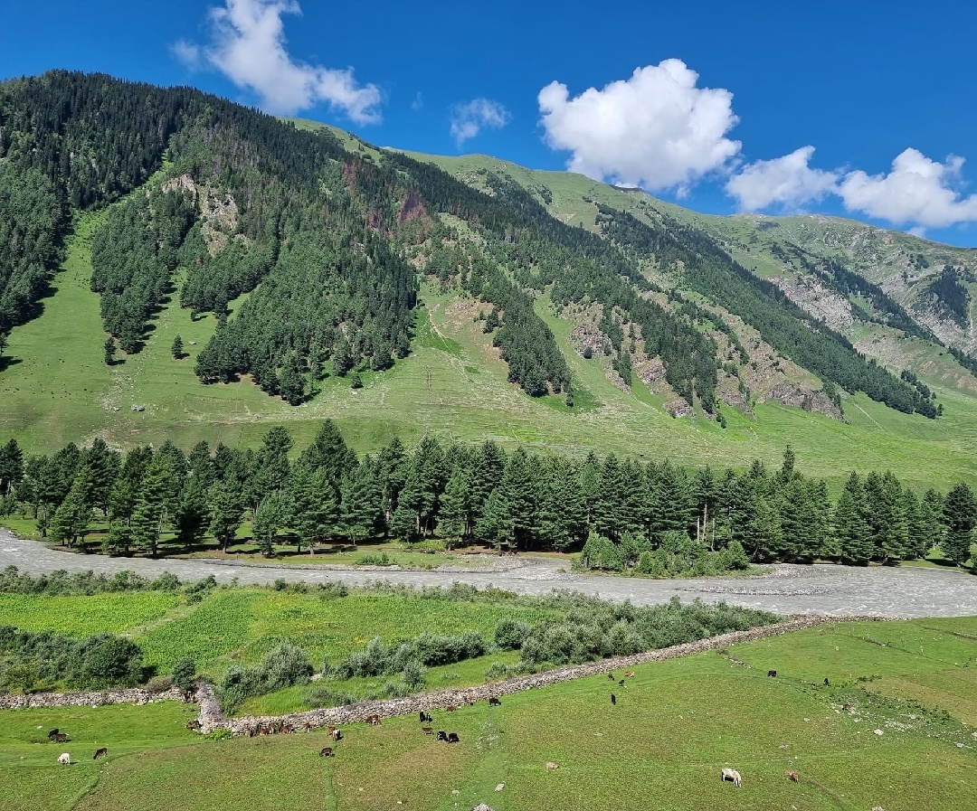 Kashmir Tour Packages